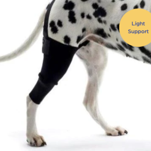 Kruuse Dog Knee Protector (light)