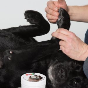 MaxWax from PawZ - Dog Paw Treatment to Soften, Moisturise & Protect
