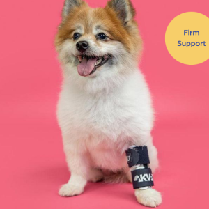 Balto® Bone - Fractured Dog Leg Brace with Removable Splints (firm support)