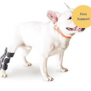 Walkin Dog Hock Splint (firm)