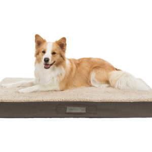 Orthopedic Flat Dog Mattress with Removable Cover - Give Your Dog Maximum Sleeping Comfort 8-10cm Thick Foam
