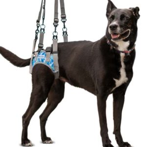 Walkin Rear Warrior Harness (for all Walkin wheelchair sizes)