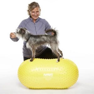 FitPaws Trax Peanut - 40cm (Yellow), 50cm (Red) or 60cm (Blue)