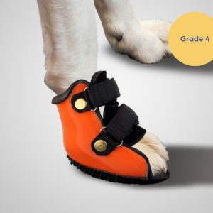 Scandi Orthopedic Dog Front or Back Boot Splint - Grade 4 (front or back paw)