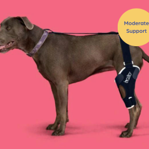 Balto® Jump - Cruciate Ligament Knee Dog Brace