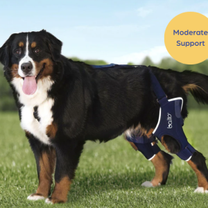 Balto® Jump Double - Support Both Knees with a Cruciate Ligament Dog Knee Brace