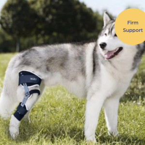 Balto® Ligatek - Adjustable Hinged Dog Knee Brace
