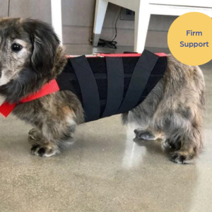 WiggleLess Back Brace - Dog Back Brace (firm support)