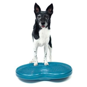 FitPaws Duo Disc 24" x 13" x 3"