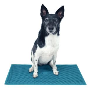 FitPaws K9 FitMat 24" x 12"