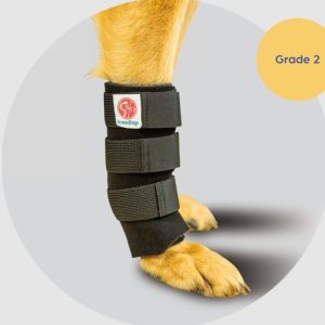 Scandi Orthopedic Dog Carpal Front Wrap - Grade 2 (light to moderate)