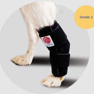 Scandi Orthopedic Hock and Tarsal Rear Wrap - Grade 2 (light to moderate)