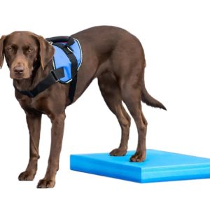 FitPaws Balance Pad 15" x 18.25" x 2" - Blue