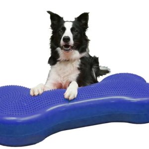 FitPaws Bone Giant - Blue, Turquoise, Violet