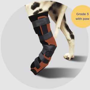 Scandi Orthopedic Hock and Tarsal Rear Splint - Grade 3 with Paw (rigid)
