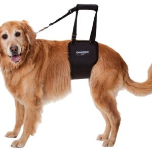 GingerLead Support Dog Sling