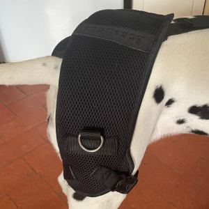 Zoomadog Happy Hips Dog Brace - Excellent for Hip Dysplasia & Hip Weakness