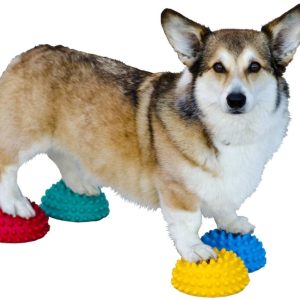 FitPaws Paw Pods Anti-Skid Bottom (set of 4)