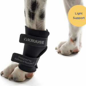 Kruuse Dog Carpal Protector (light)