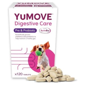 YuMOVE Digestive Care Pre & Probiotic Tablets for Dogs - Daily Digestive Support 120 Tablets