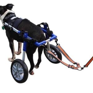 Wheelchair Dog Lead