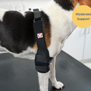Kruuse Rehab Pro Dog Elbow Protector (moderate)