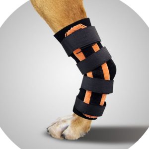 Scandi Orthopedic Dog Tarsal Rear Splint - Grade 2.5 (moderate)