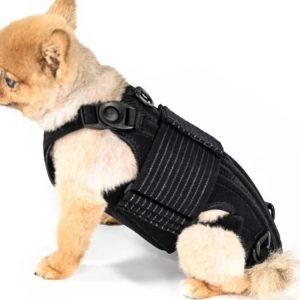 L'il Back Bracer Heated Back Brace for Dogs - Therapeutic Heat for Back Muscles & Joints