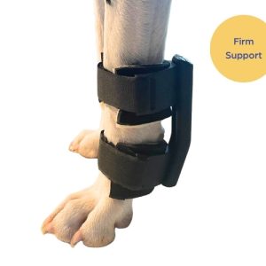 Zoomadog Carpal Splint for Dogs - Ideal for Carpal Damage, Weakness & Injuries (firm)