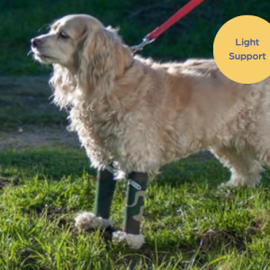 Walkabout Compression Sleeve for Front or Back Dog Legs (black)