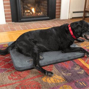 Assisi LOOP Lounge - PEMF treatment for Total Body Pain & Inflammation Relief