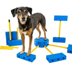 NEW! FitPaws FitKinect - Blocks and Tubes Great for Building Strength and Improving Condition