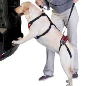 TUSH Ultimate Support Harness for Dogs (comes with lead)