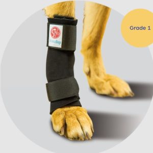 Scandi Orthopedic Dog Carpal Front Wrap - Grade 1 (light)