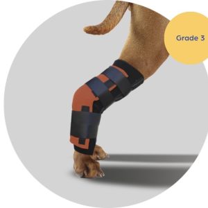 Scandi Orthopedic Hock and Tarsal Rear Splint - Grade 3 (rigid)