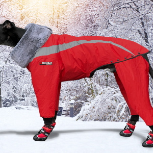 Hunnyboots 'The Coat' - Keep Your Greyhound Warm & Cosy
