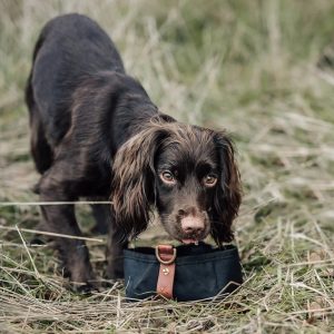 Foldable Travel Bowl - Black