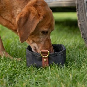 Dog Food & Water Feeders