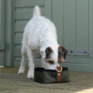 Foldable Travel Bowl - Olive