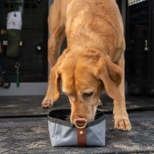 Foldable Travel Bowl - Storm