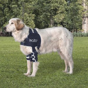 Balto® Lux - Dog Shoulder Brace