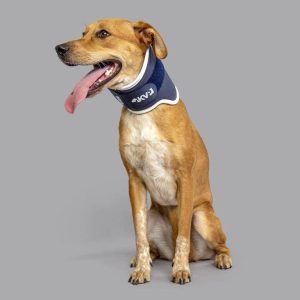 Balto® Neck - Rigid Dog Neck Brace