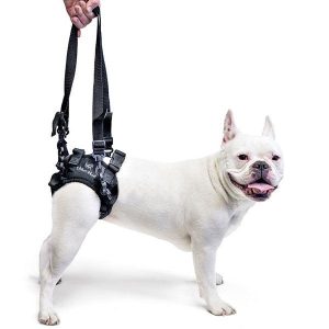Walkin Rear Lift Dog Harness - best for Walkin Wheelchair
