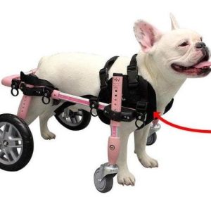 Quad Front Harness for Walkin’ Wheelchair (for small and medium wheelchairs only)