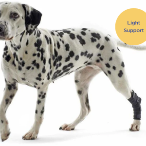 Kruuse Dog Hock Protector (light)