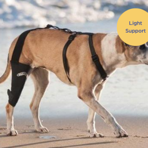 Walkabout Cruciate Dog Knee Brace (knee brace + connecting strap)