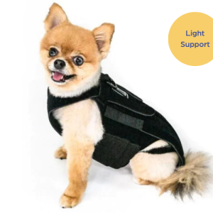 L'il Back Bracer - Dog Back Brace (light support)