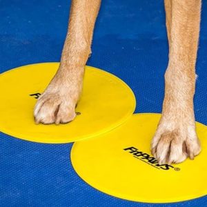 FitPaws Targets - Set of 4 Assorted Colours