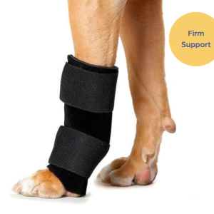 Therapaw Carpo Flex X Wrap for Dogs (moderate)