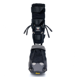 Maximus PawsUp Knuckling Custom Brace - Front Paws